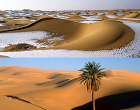 世界10大迷人沙漠：新疆塔克拉玛干沙漠居首