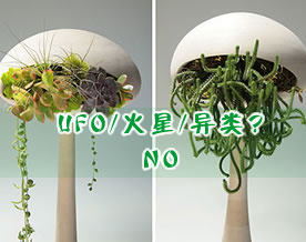 是UFO或火星还是什么异类？NO，是花盆！