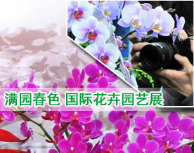 “乱花渐欲迷人眼”：国际花卉园艺展在沪开幕